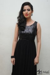 Sadha at Yamaleela 2 Movie Audio Launch